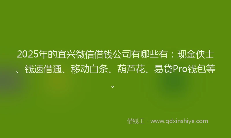 2025年的宜兴微信借钱公司有哪些有：现金侠士、钱速借通、移动白条、葫芦花、易贷Pro钱包等。