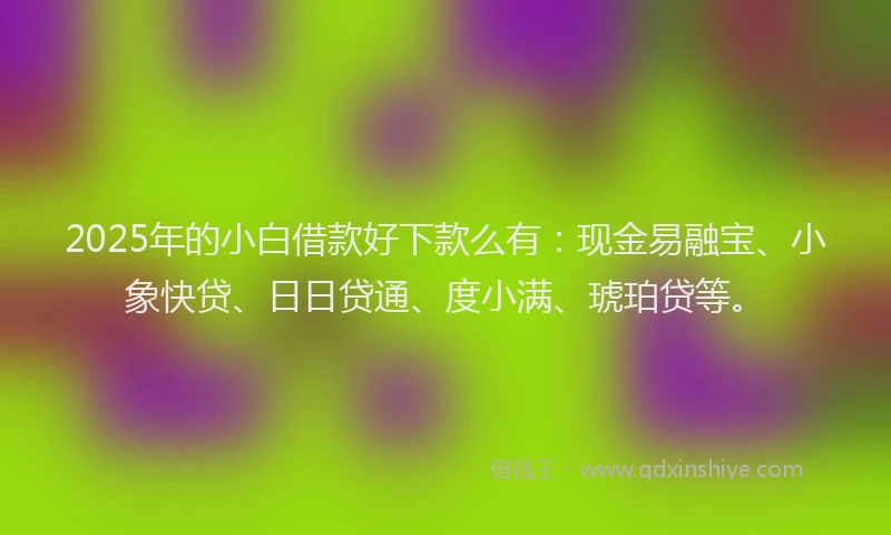 2025年的小白借款好下款么有：现金易融宝、小象快贷、日日贷通、度小满、琥珀贷等。