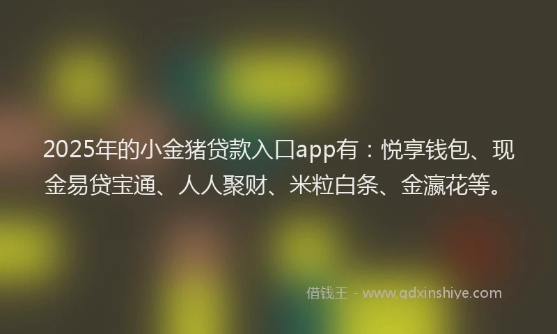 2025年的小金猪贷款入口app有：悦享钱包、现金易贷宝通、人人聚财、米粒白条、金瀛花等。