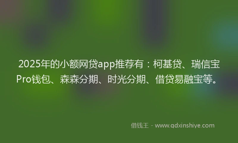 2025年的小额网贷app推荐有：柯基贷、瑞信宝Pro钱包、森森分期、时光分期、借贷易融宝等。