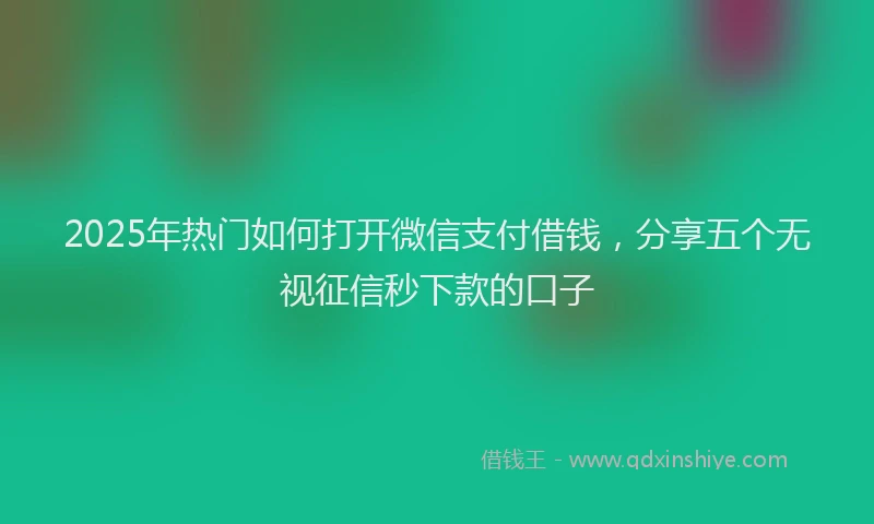 2025年热门如何打开微信支付借钱，分享五个无视征信秒下款的口子