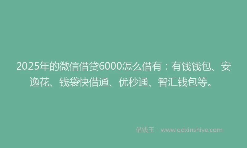 2025年的微信借贷6000怎么借有：有钱钱包、安逸花、钱袋快借通、优秒通、智汇钱包等。
