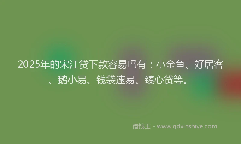 2025年的宋江贷下款容易吗有：小金鱼、好居客、鹅小易、钱袋速易、臻心贷等。