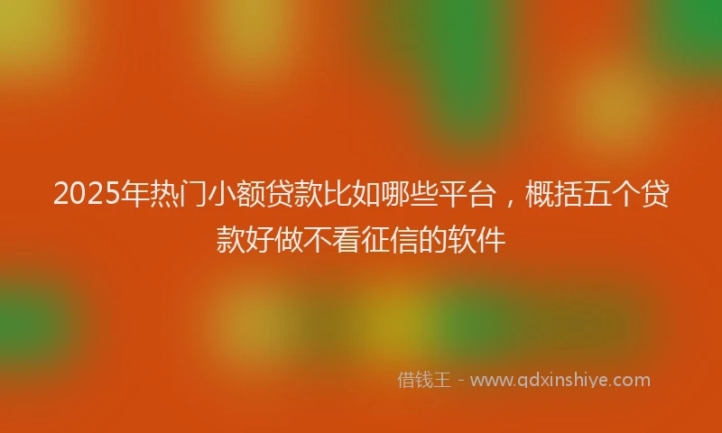 2025年热门小额贷款比如哪些平台，概括五个贷款好做不看征信的软件