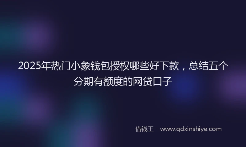 2025年热门小象钱包授权哪些好下款，总结五个分期有额度的网贷口子