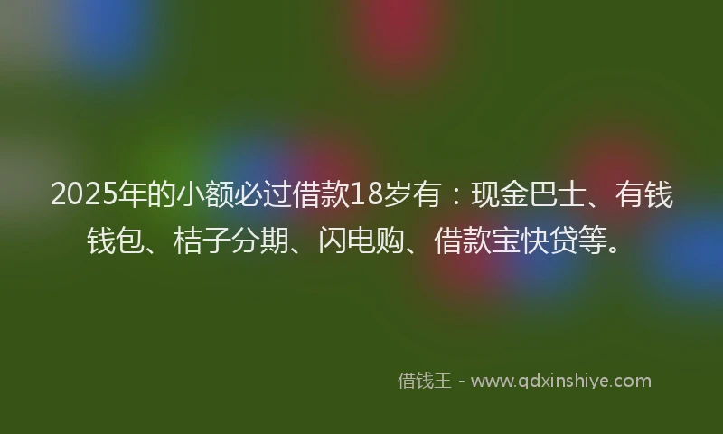 2025年的小额必过借款18岁有：现金巴士、有钱钱包、桔子分期、闪电购、借款宝快贷等。