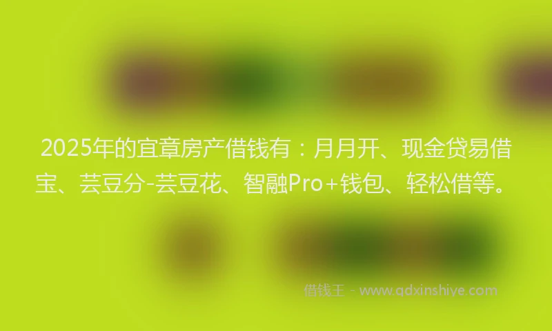 2025年的宜章房产借钱有：月月开、现金贷易借宝、芸豆分-芸豆花、智融Pro+钱包、轻松借等。