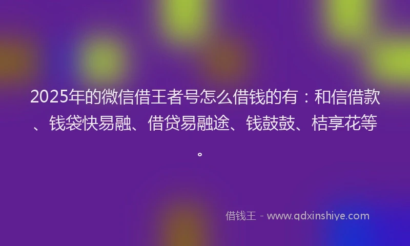 2025年的微信借王者号怎么借钱的有：和信借款、钱袋快易融、借贷易融途、钱鼓鼓、桔享花等。
