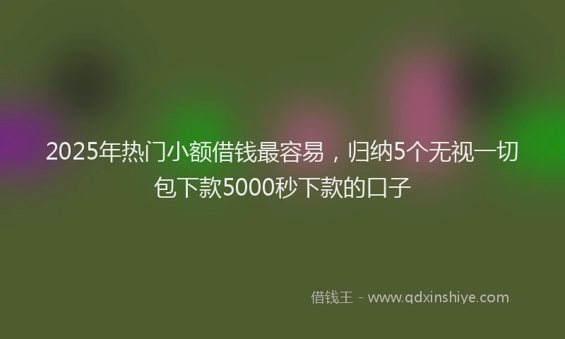 2025年热门小额借钱最容易，归纳5个无视一切包下款5000秒下款的口子