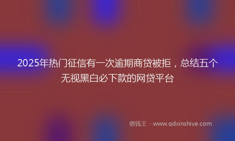2025年热门征信有一次逾期商贷被拒，总结五个无视黑白必下款的网贷平台