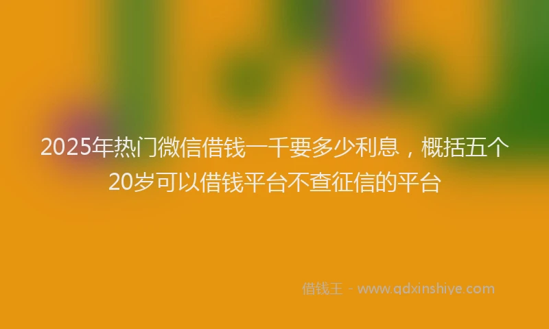 2025年热门微信借钱一千要多少利息，概括五个20岁可以借钱平台不查征信的平台