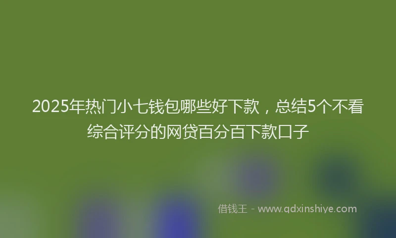 2025年热门小七钱包哪些好下款，总结5个不看综合评分的网贷百分百下款口子