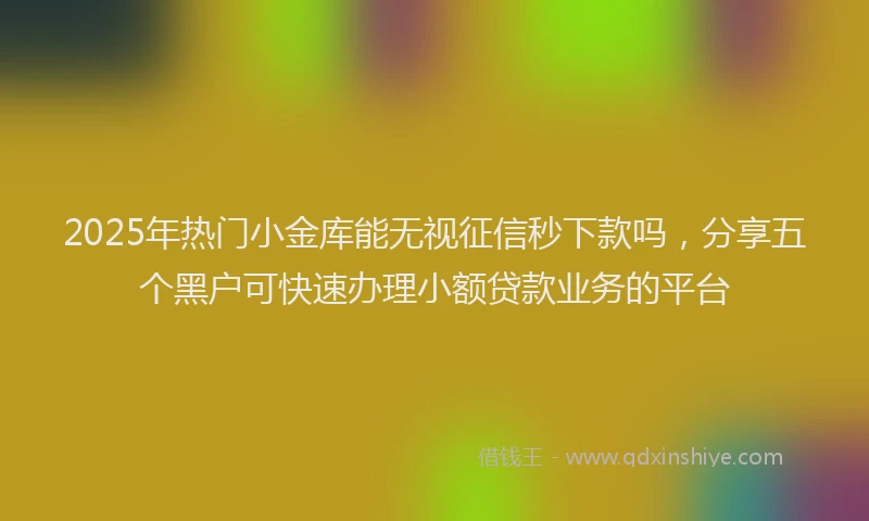 2025年热门小金库能无视征信秒下款吗，分享五个黑户可快速办理小额贷款业务的平台