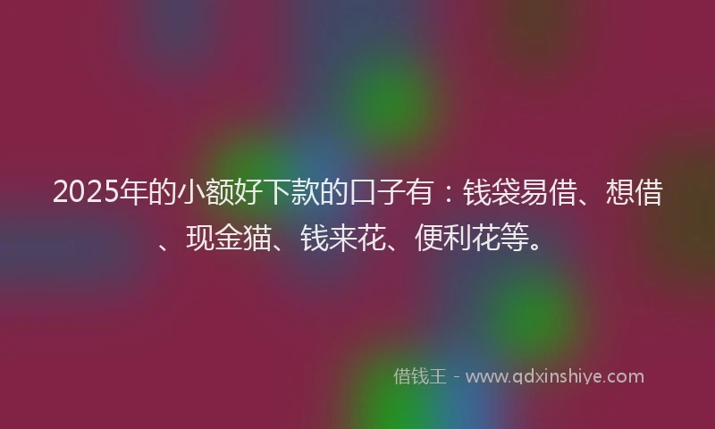2025年的小额好下款的口子有：钱袋易借、想借、现金猫、钱来花、便利花等。