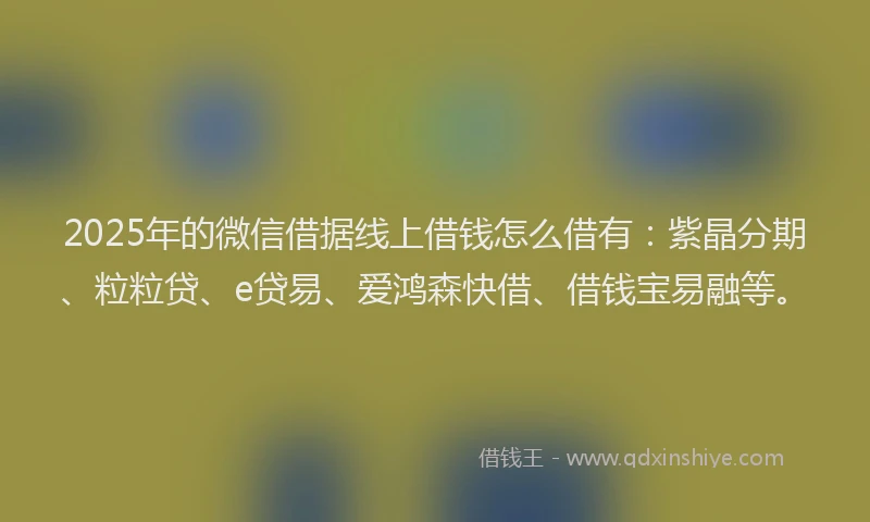 2025年的微信借据线上借钱怎么借有：紫晶分期、粒粒贷、e贷易、爱鸿森快借、借钱宝易融等。