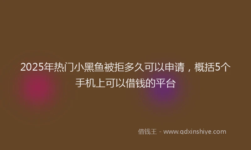 2025年热门小黑鱼被拒多久可以申请，概括5个手机上可以借钱的平台