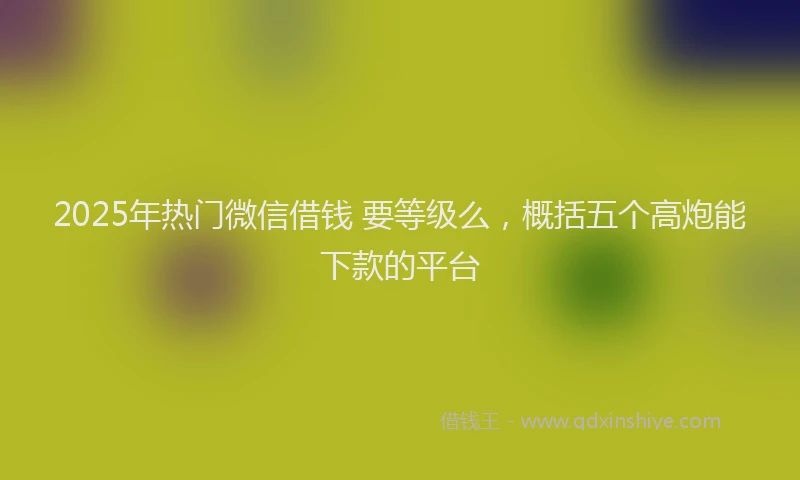2025年热门微信借钱 要等级么，概括五个高炮能下款的平台