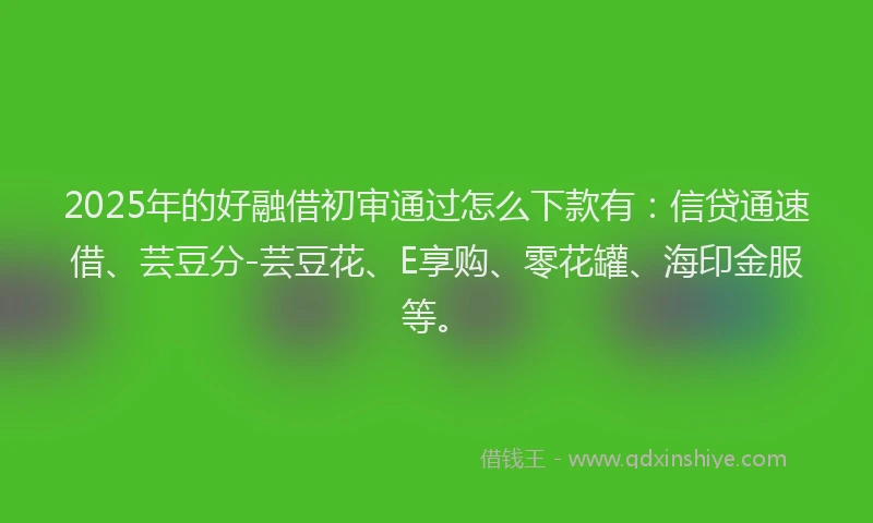 2025年的好融借初审通过怎么下款有：信贷通速借、芸豆分-芸豆花、E享购、零花罐、海印金服等。