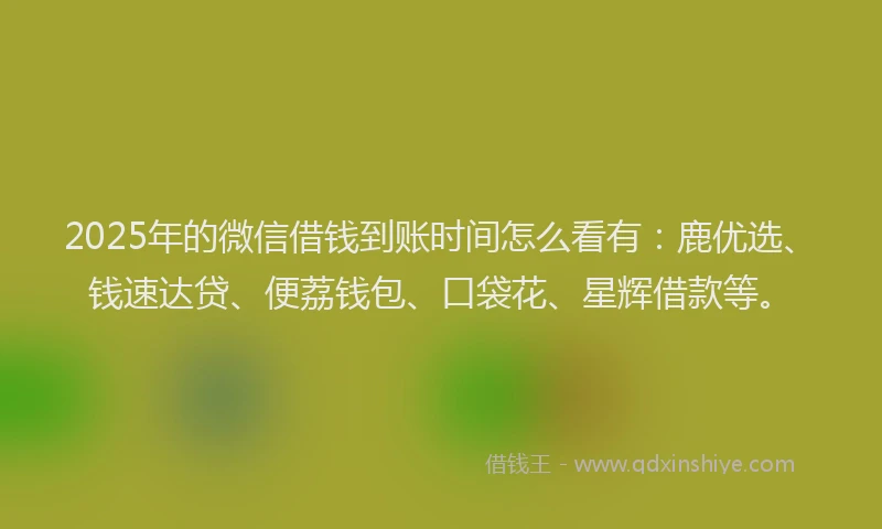 2025年的微信借钱到账时间怎么看有：鹿优选、钱速达贷、便荔钱包、口袋花、星辉借款等。