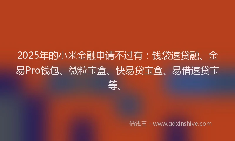 2025年的小米金融申请不过有：钱袋速贷融、金易Pro钱包、微粒宝盒、快易贷宝盒、易借速贷宝等。