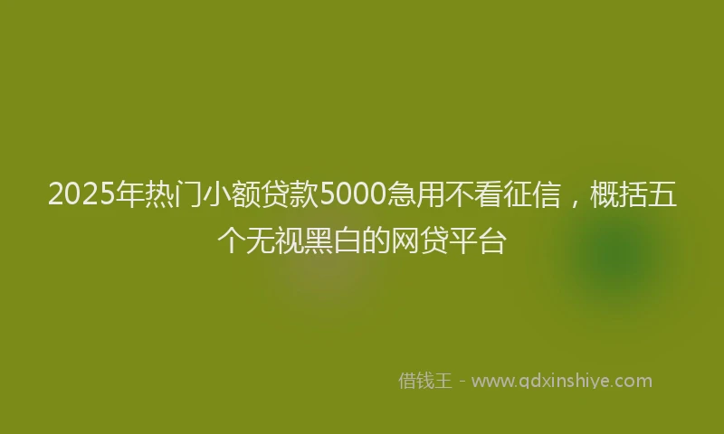 2025年热门小额贷款5000急用不看征信，概括五个无视黑白的网贷平台