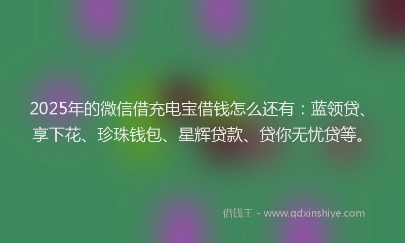 2025年的微信借充电宝借钱怎么还有：蓝领贷、享下花、珍珠钱包、星辉贷款、贷你无忧贷等。