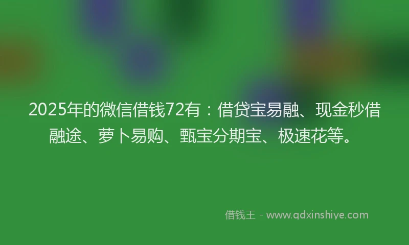 2025年的微信借钱72有：借贷宝易融、现金秒借融途、萝卜易购、甄宝分期宝、极速花等。