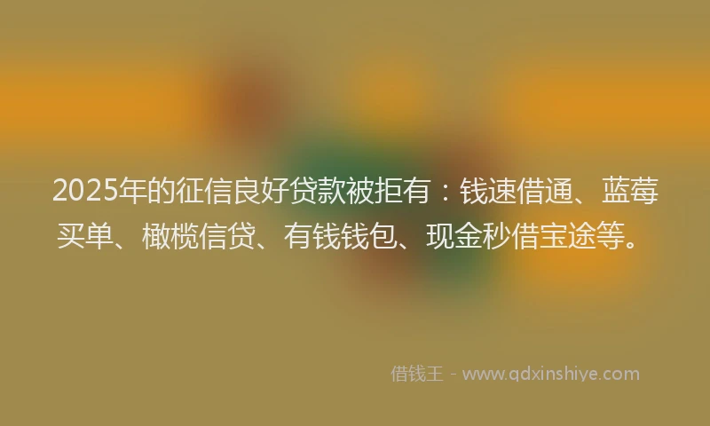 2025年的征信良好贷款被拒有：钱速借通、蓝莓买单、橄榄信贷、有钱钱包、现金秒借宝途等。
