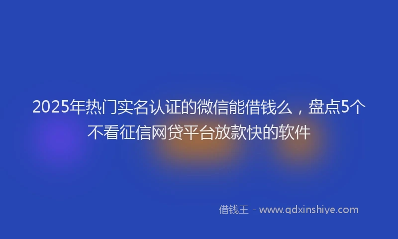 2025年热门实名认证的微信能借钱么，盘点5个不看征信网贷平台放款快的软件