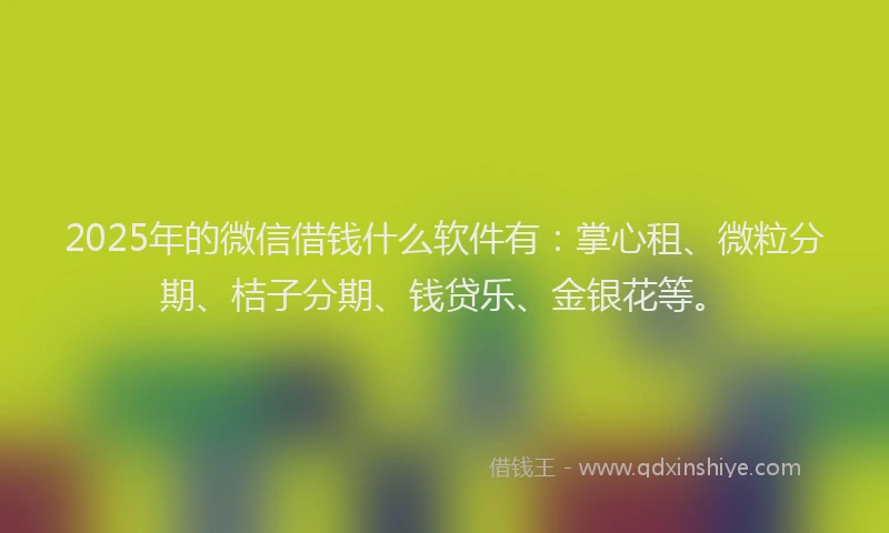 2025年的微信借钱什么软件有：掌心租、微粒分期、桔子分期、钱贷乐、金银花等。