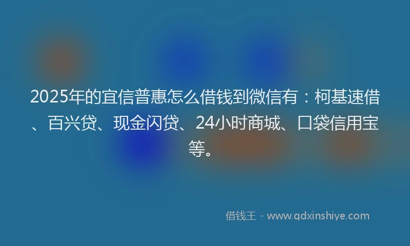 2025年的宜信普惠怎么借钱到微信有：柯基速借、百兴贷、现金闪贷、24小时商城、口袋信用宝等。