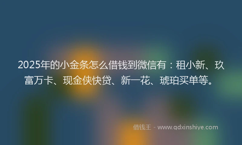 2025年的小金条怎么借钱到微信有：租小新、玖富万卡、现金侠快贷、新一花、琥珀买单等。