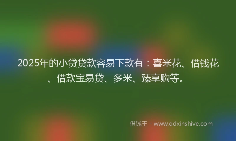 2025年的小贷贷款容易下款有：喜米花、借钱花、借款宝易贷、多米、臻享购等。