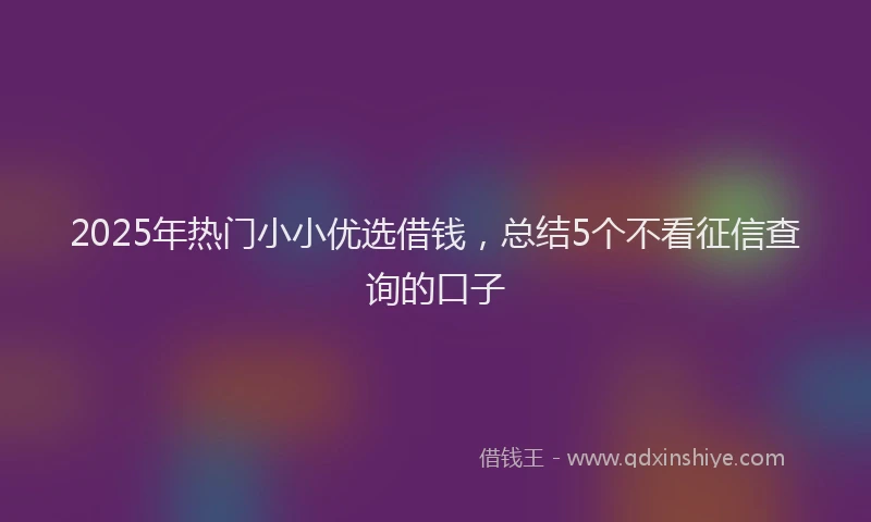 2025年热门小小优选借钱，总结5个不看征信查询的口子