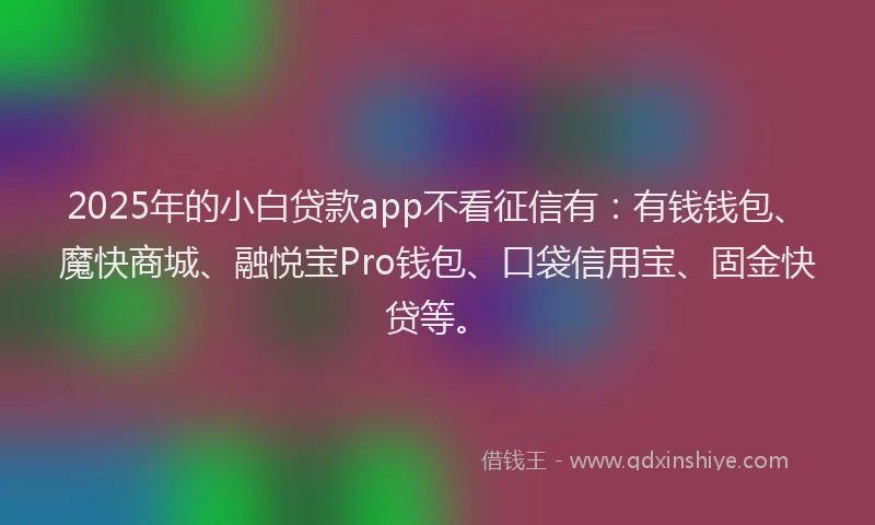 2025年的小白贷款app不看征信有：有钱钱包、魔快商城、融悦宝Pro钱包、口袋信用宝、固金快贷等。