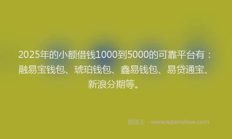 2025年的小额借钱1000到5000的可靠平台有：融易宝钱包、琥珀钱包、鑫易钱包、易贷通宝、新浪分期等。