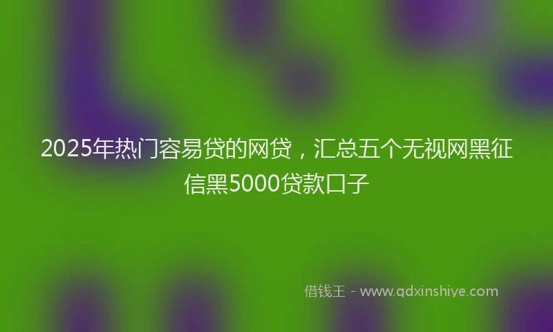 2025年热门容易贷的网贷，汇总五个无视网黑征信黑5000贷款口子
