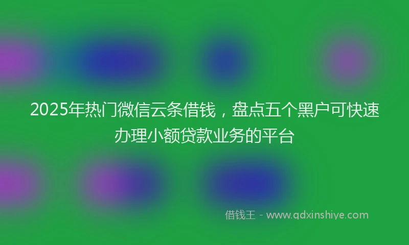 2025年热门微信云条借钱，盘点五个黑户可快速办理小额贷款业务的平台