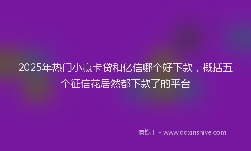 2025年热门小赢卡贷和亿信哪个好下款，概括五个征信花居然都下款了的平台