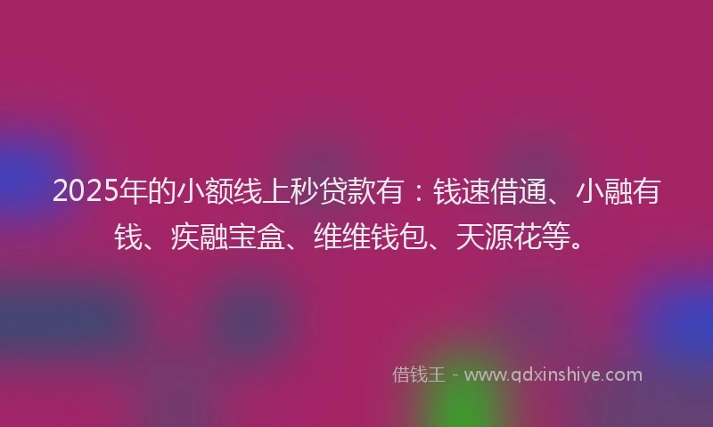 2025年的小额线上秒贷款有：钱速借通、小融有钱、疾融宝盒、维维钱包、天源花等。
