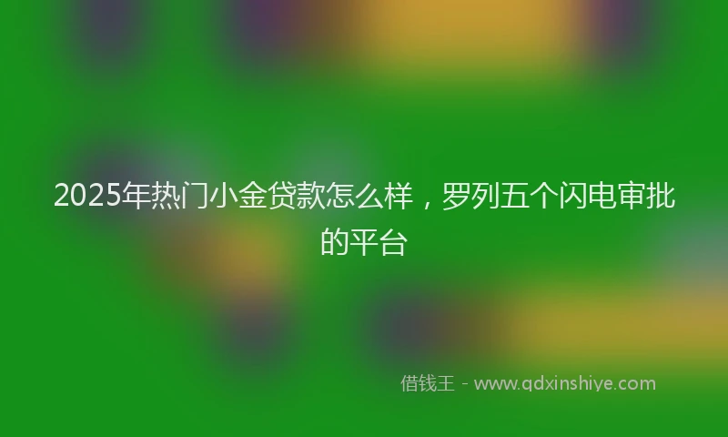 2025年热门小金贷款怎么样，罗列五个闪电审批的平台