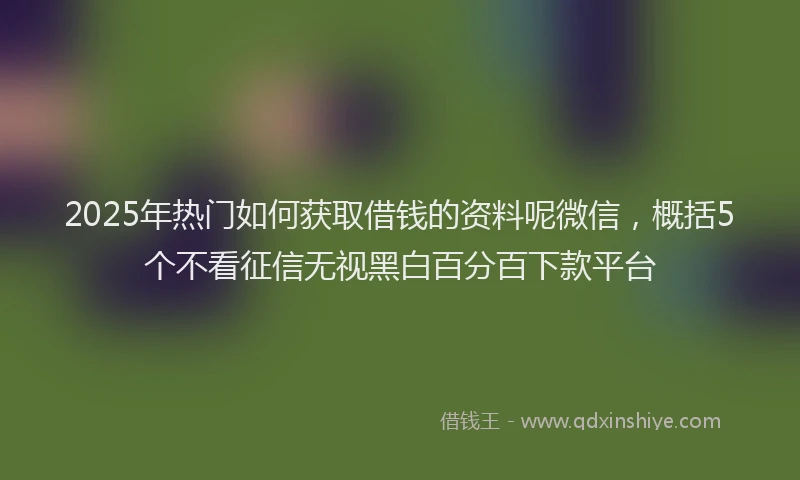 2025年热门如何获取借钱的资料呢微信，概括5个不看征信无视黑白百分百下款平台