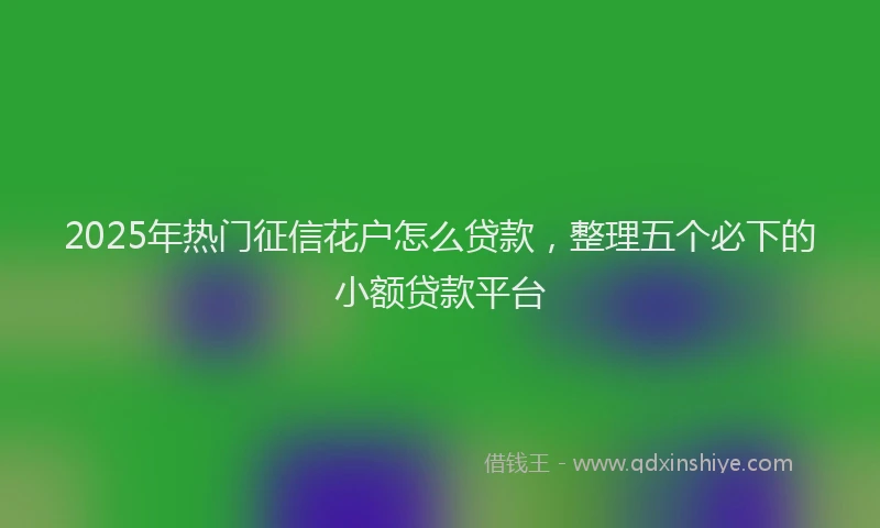2025年热门征信花户怎么贷款，整理五个必下的小额贷款平台