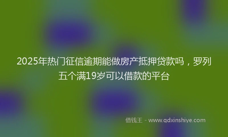 2025年热门征信逾期能做房产抵押贷款吗，罗列五个满19岁可以借款的平台