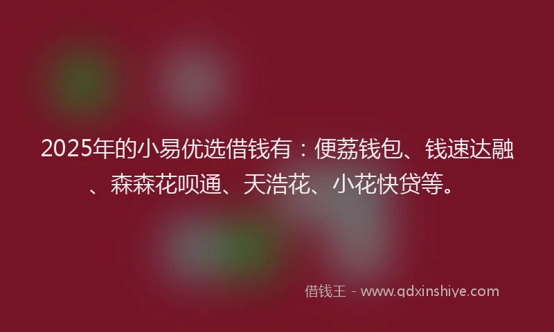 2025年的小易优选借钱有：便荔钱包、钱速达融、森森花呗通、天浩花、小花快贷等。