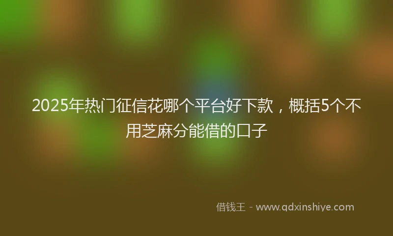 2025年热门征信花哪个平台好下款，概括5个不用芝麻分能借的口子