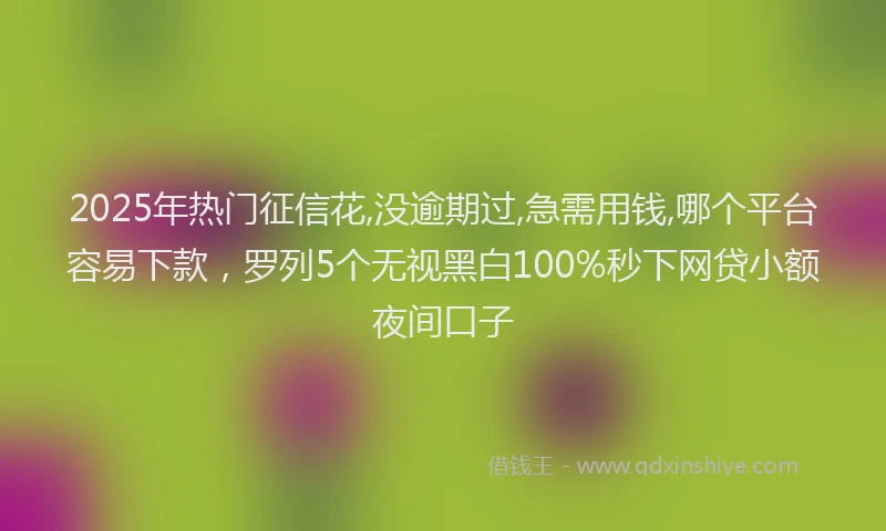 2025年热门征信花,没逾期过,急需用钱,哪个平台容易下款，罗列5个无视黑白100%秒下网贷小额夜间口子