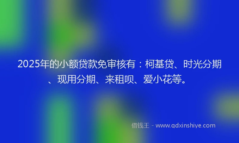 2025年的小额贷款免审核有：柯基贷、时光分期、现用分期、来租呗、爱小花等。
