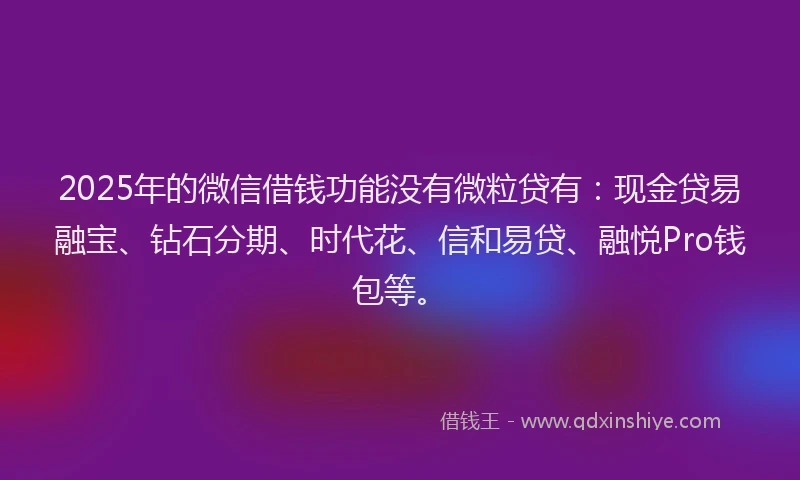 2025年的微信借钱功能没有微粒贷有：现金贷易融宝、钻石分期、时代花、信和易贷、融悦Pro钱包等。