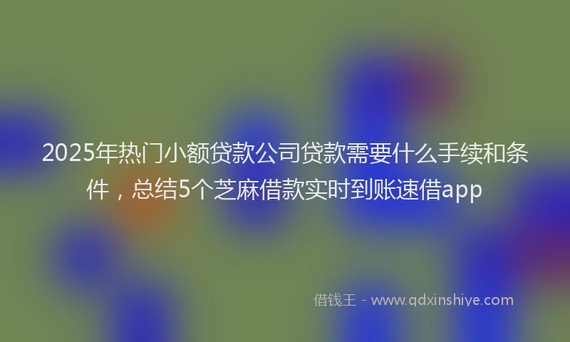 2025年热门小额贷款公司贷款需要什么手续和条件，总结5个芝麻借款实时到账速借app
